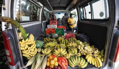 El interior del vehículo de safari del guía David Murithi, de 34 años, está lleno de plátanos y otras frutas. Ha tenido que retirar los asientos para llenar el coche de alimentos que vender. Él tampoco puede trabajar ahora como guía.