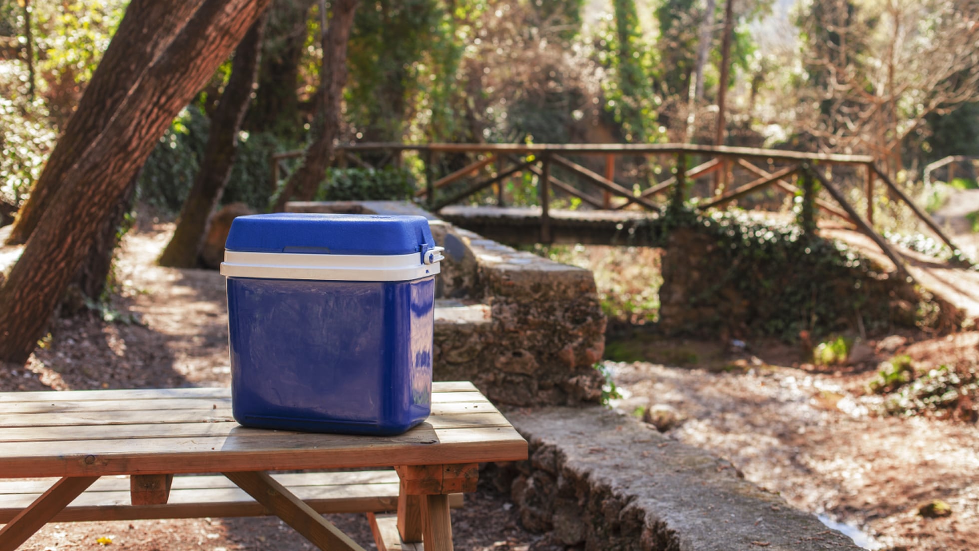 Nevera portátil con asa, 16 litros, polipropileno,porta alimentos para playa,  acampada, camping, 25 x 41 x 28 cm, color azul y b