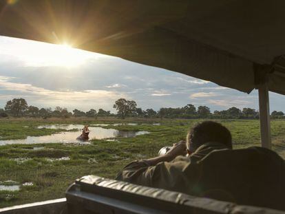 Es un continente inmenso que promete emociones fuertes. Pero hay que comenzar por algún sitio. Proponemos las 10 aventuras más clásicas con las que los grandes viajeros suelen adentrarse en el corazón de África, como un safari fotográfico por el delta del Okavango, en Botsuana.