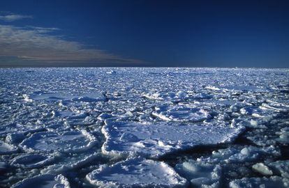 El hielo ártico es cada vez más fino.