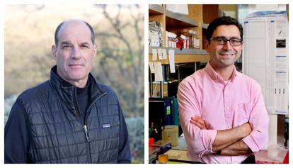 David Julius y Ardem Patapoutian ganadores del Premio Fronteras del Conocimiento en la categoría Biología y Biomedicina / Fundación BBVA