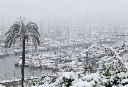 El puerto deportivo de Palma, cubierto de nieve.