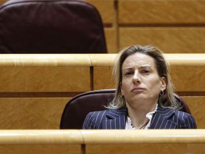 Marta Dom&iacute;nguez, en el Senado. 
