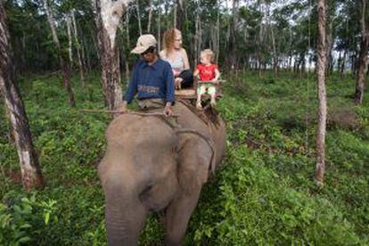 Ruta en elefante hacia la espectacular cascada de Ka Tieng, desde el pueblo de Kateung, en la provincia de Ratanakiri (Camboya).