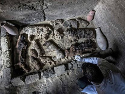 Arqueólogos egipcios limpian los gatos momificados descubiertos en la necrópolis de Sakkara.