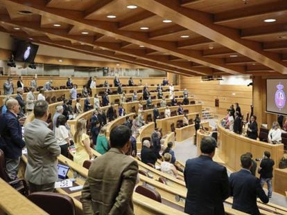 Minuto de silencio en recuerdo de las víctimas de Covid-19 al inicio de una sesión de control al Gobierno en el Senado, en Madrid (España) a 14 de julio de 2020.