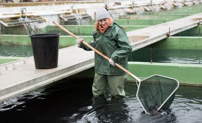 España es el Estado miembro de la Unión Europea con mayor cosecha de acuicultura: en 2020 produjo 307.000 toneladas. Este liderazgo favorece el consumo de proximidad.