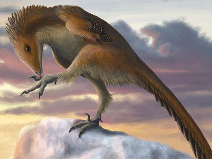 Un dinosaurio de la familia de los troodóntidos, el 'Talos sampsoni', en una ilustración.