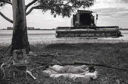 Una trabajadora en plena siesta antes de volver a cosechar.