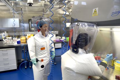 Dos investigadoras trabajan en el Instituto de Virología de Wuhan, en una imagen tomada en 2017.