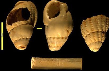 Ornamentos marinos recuperados en el primer nivel del Paleolítico Superior en Cova Gran (Lleida).