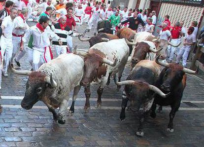 Astados de la ganadería Peñajara, durante el primer encierro de sanfermines.