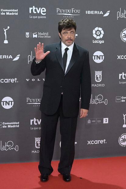 Benicio del Toro acudió a recoger el Platino de honor.