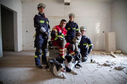 Rescatistas con perros de rescate en Querétaro