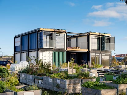 Casas contenedores en la localidad de Fredericia, Dinamarca.