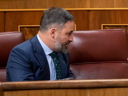 El líder de VOX, Santiago Abascal, y la secretaria general del partido, Macarena Olona, conversaban este jueves en la Cámara baja.