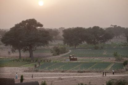 Se calcula que el proyecto de una franja verde de bosque a lo ancho del continente está al 15%, y Senegal es el país que más ha avanzado en esta tarea. Pero en paralelo van surgiendo otras iniciativas integrales y con la obligación de sostenibilidad que efectivamente evitan que avance la desertificación. En la imagen, las tierras bajas de Tibiri (Níger).