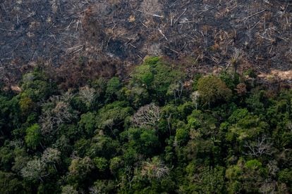 El estado del Amazonas, en la frontera con Acre, después de que un incendio haya consumido parte del área del Proyecto Forestal Estatal Antimary, el primer bosque público estatal, donde se realizan actividades de manejo sostenible. El 16 de febrero de 2023.