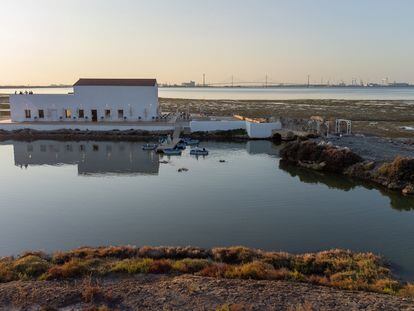 Marambay es un nuevo proyecto empresarial que ha permitido recuperar una de las muchas salinas abandonadas en la bahía de Cádiz.