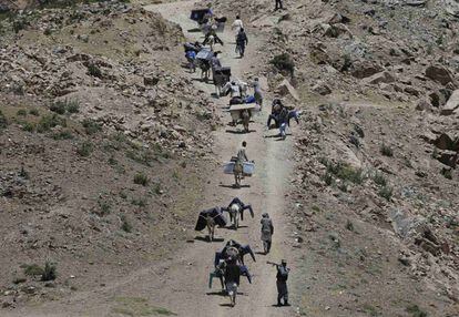 La caravana de porteadores recorre el camino con los asnos cargados del material electoral en Shutul, provincia de Panjshir.