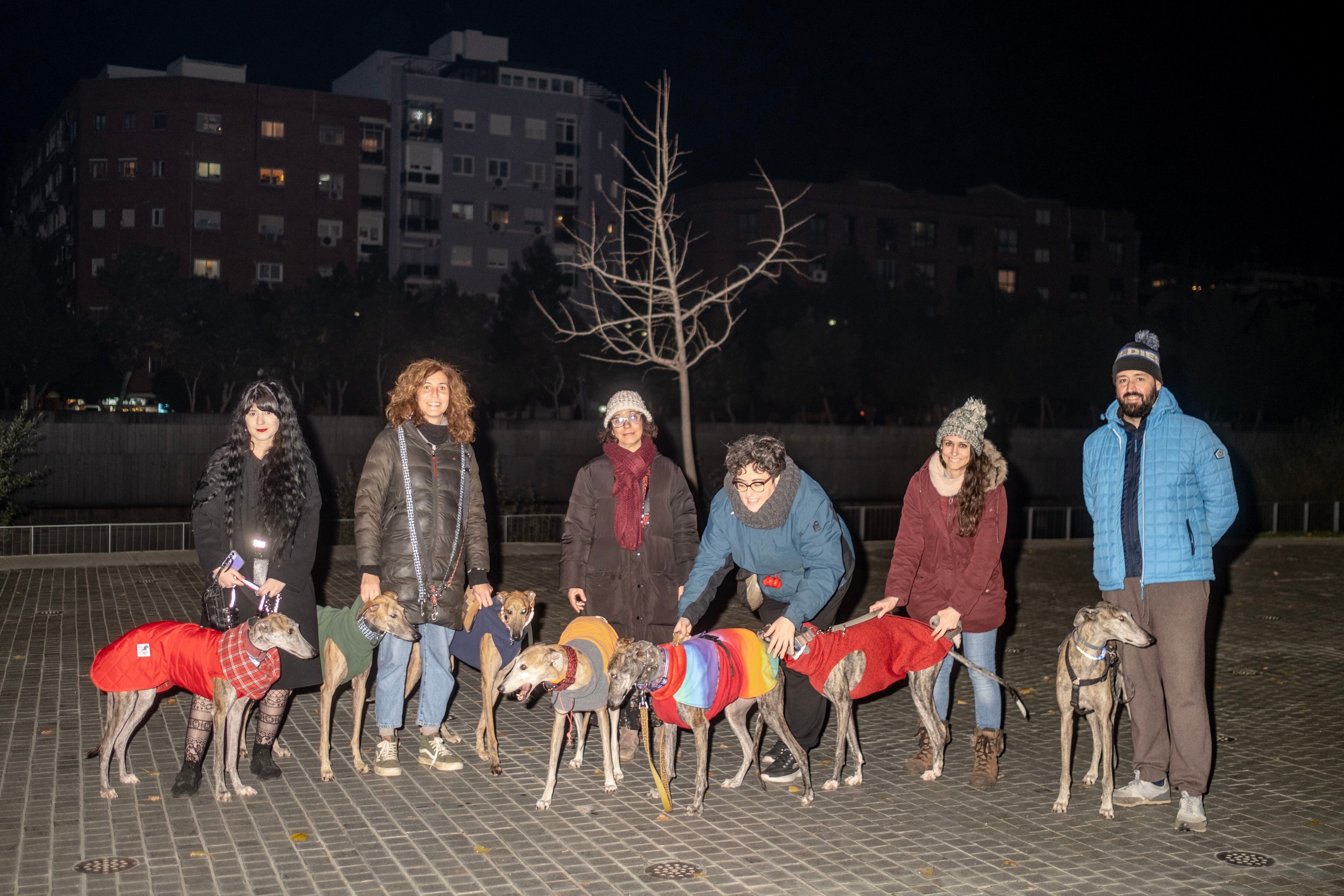 Un grupo de galgos en el parque de Madrid Río. 
