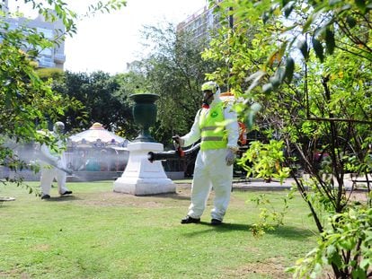 Personal sanitario fumiga una plaza de Buenos Aires para eliminar el mosquito que transmite el dengue.