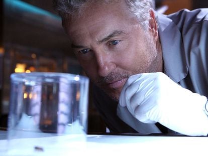 Gil Grissom (interpretado por William Petersen) en un capítulo de 'CSI: Las Vegas).