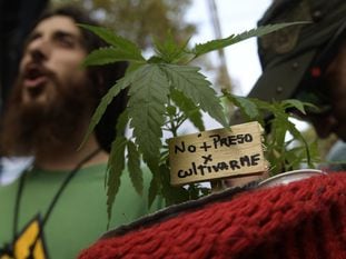 Una manifestación a favor de la legalización de la marihuana en Buenos Aires, en 2017.