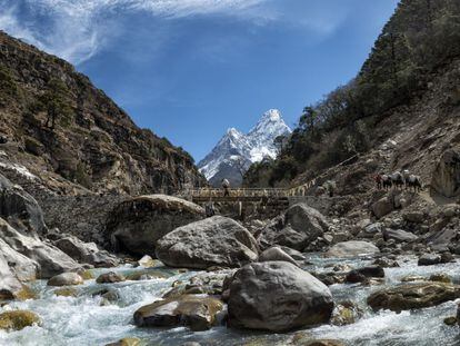 Llegar a lo más alto de la tierra requiere, a veces, escalar, pero no siempre. En otros casos basta con caminar, y caminar y caminar. Existen rutas de trekking que, aunque requieran estar muy bien preparados, se pueden completar y conducen hasta algunas de las cumbres más altas de varios continentes, sorteando la sutil línea que separa, a esta altitud, el senderismo y el montañismo. Por ejemplo, en la región del Khumbu, en Nepal, ante montañas tan bellas e imponentes como Ama Dablam (en la foto).