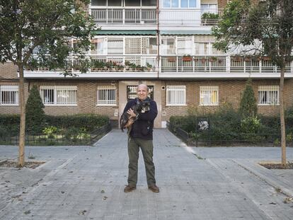 En su casa, Jesús Romero nunca había sido el responsable de sacar a Perla, una bulldog francesa aficionada a comer sandía. Durante el confinamiento, la está bajando tres veces al día: "Es un alivio poder salir con el animalillo", dice en una plaza de Tetuán mientras de una casa sale una salsa: "Tus besos son / son como caramelo".
