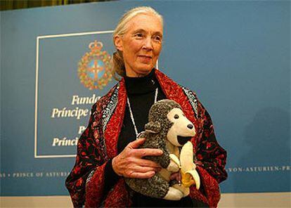 Jane Goodall, el pasado miércoles, tras llegar a Oviedo.