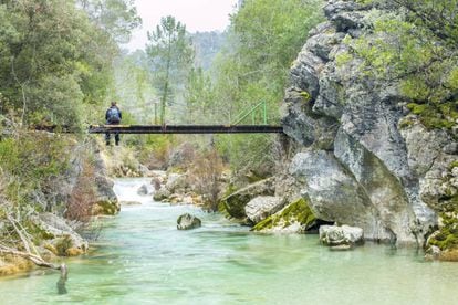 Puente sobre el r&iacute;o Borosa, en el parque natural de las Sierras de Cazorla, Segura y la Villas (Ja&eacute;n). 