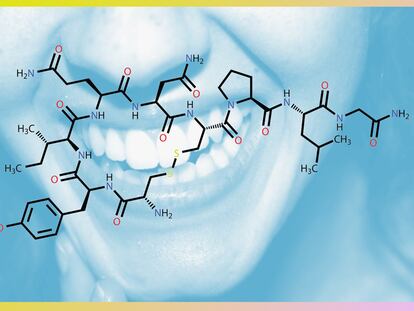 La hormona del amor y sus curiosidades