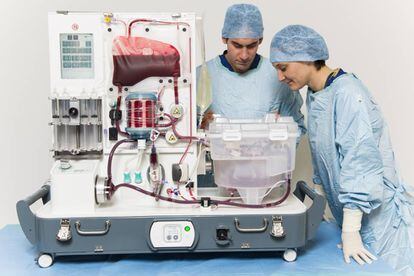 Dos personas observan un hígado en la máquina de perfusión 'OrganOx'.