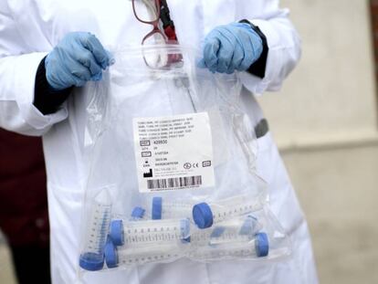 Un sanitario con tubos de ensayo durante la realización de tests de RT-PCR,