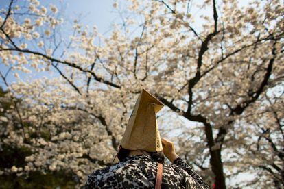 En Japón es tradición el 'hanami', nombre con el que se denomina a reunirse bajo las flores del cerezo para contemplar su belleza mientras se come y se bebe. En la imagen, una mujer disfruta de los cerezos en el parque Ueno de Tokio (Japón).