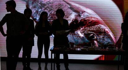 Imagen de un pez en la 72ª asamblea de la Organización Mundial de la Salud.