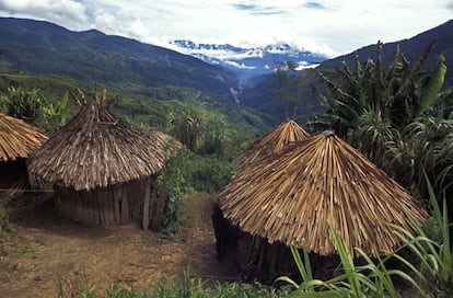 Papúa, segunda isla más grande del mundo, es la última frontera de Indonesia. Un paisaje de ríos que se precipitan desde montañas de 5.000 metros de altura y atraviesan junglas habitadas por aves del paraíso. En sus cumbres hay glaciares y nieve, mientras que laderas y valles albergan exóticas culturas (más de 250), como las de los dani y sus calabazas; los asmat, guerreros y tallistas, y los korowai, que aún viven en los árboles. Para conocer esta Papúa tribal hay que visitar el valle del Baliem, de unos 60 kilómetros, donde los viajeros quedan maravillados por este entorno de montañas, ríos salvajes y aldeas tribales.