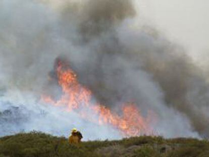 Un bombero ayer junto a las llamas del incendio forestal declarado en Alajer&oacute; (La Gomera).