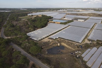 Vista aérea de una captación de agua y dos balsas entre invernaderos en Lucena del Puerto, Huelva. Una de las zonas más polémicas y que están contribuyendo al deterioro del acuífero de Doñana.