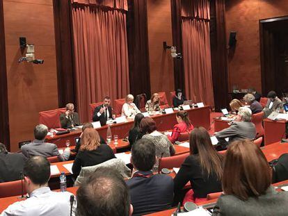 Santi Vila, durante su comparecencia en la comisi&oacute;n de cultura del Parlament.