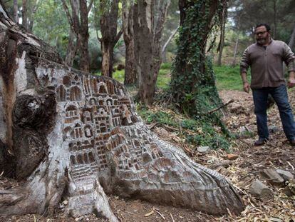 Manuel Ledesma, junto a una de sus creaciones, en el bosque del Monte Calvario de Málaga.