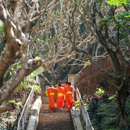 Un gurpo de monjes budistas subiento el monte Phou Si, en Luang Prabang (Laos).