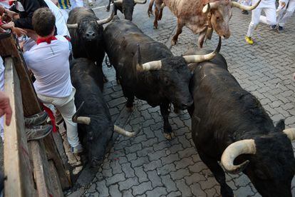 Los toros de la ganadería gaditana de Fuente Ymbro regresan a las fiestas de San Fermín después de cuatro años ausentes.
