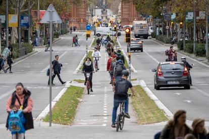 Several people pedal along a bike lane in the center of Barcelona. 