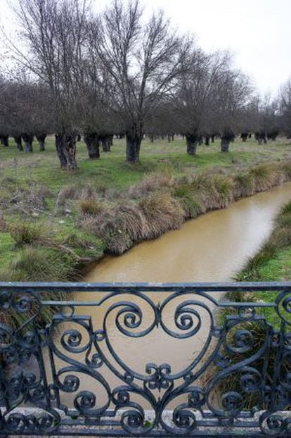 Puente del siglo XVIII sobre el arroyo que cruza el paraje.