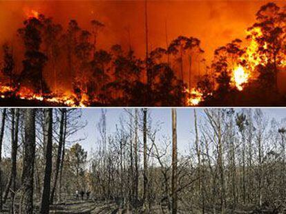 Arriba, las llamas consumen el bosque atlántico de las Fragas do Eume en los montes de A Capela la noche del sábado. La foto inferior muestra el estado de la vegetación el domingo por la tarde tras el paso del incendio.