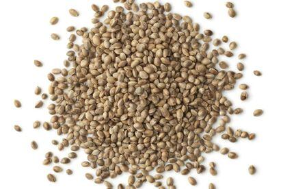 Las semillas de cáñamo o cañamones se consideran un superalimento.