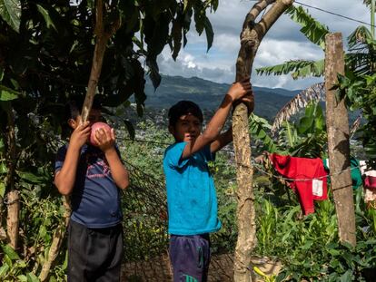 Dos niños en Chilón, Chiapas, que pasaron casi todo el año sin ir a la escuela y ayudando en las tareas del hogar tras los cierres de colegios por la pandemia de coronavirus.
