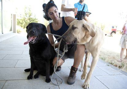 Una voluntaria con dos perros abandonados en el centro de Colmenar.